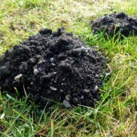 Der QUH-Adventskalender 2010 - das 15. Türchen