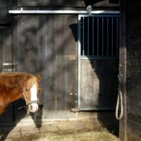 Der QUH-Adventskalender 2010 - das 2. Türchen