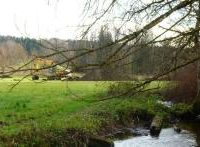 Renaturierung des Lüßbachs im Manthal