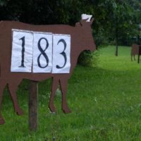 Freudensprung der QÜHE.