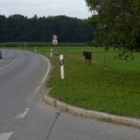 Häufig gestellte Fragen