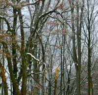 Einzug ins Wohnzentrum Etztal (ehemals "Betreutes Wohnen")