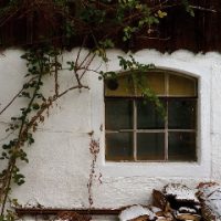 Der QUH-Adventskalender - das 6. Fenster Der QUH-Adventskalender - das 6. Fenster