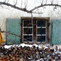 Der QUH-Adventskalender - das 11. Fenster Der QUH-Adventskalender - das 11. Fenster