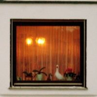 Der QUH-Adventskalender - das 10. Fenster Der QUH-Adventskalender - das 10. Fenster