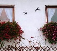 Der QUH-Adventskalender - das 5. Fenster Der QUH-Adventskalender - das 5. Fenster