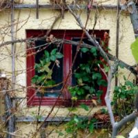 Der QUH-Adventskalender - das 16. Fenster Der QUH-Adventskalender - das 16. Fenster