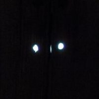 Kommentarfunktion ausgeschaltet