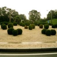 Fehlgeleitet: Der Kreisel der Woche Fehlgeleitet: Der Kreisel der Woche