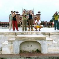 Heilige Kühe in Höhenrain Heilige Kühe in Höhenrain