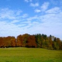 Windkraft: Der Standpunkt der QUH