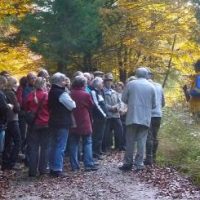 Besucht die Wadlhauser Gräben, solange sie noch stehn