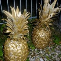 Das Rätsel um die Goldene Ananas
