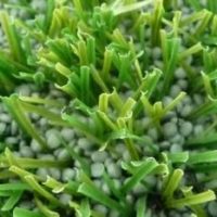 Vieldiskutierte Auslegware Vieldiskutierte Auslegware