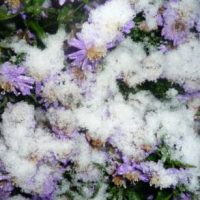 Das erste Mal Das erste Mal