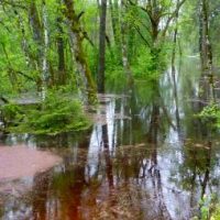 Einladung zur Kräuterwanderung Einladung zur Kräuterwanderung