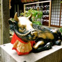 Heute ausnahmsweise Gemeinderatssitzung