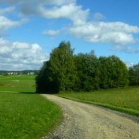 Mysteriöser Leichenfund Mysteriöser Leichenfund