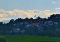 Gefahr für Gänse Gefahr für Gänse