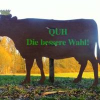 Die bessere Kampagne