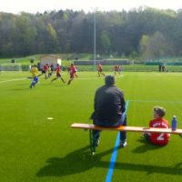 Der Berger "Classico" Der Berger "Classico"