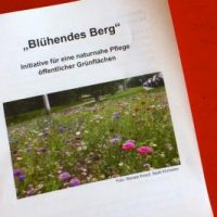 Blüh Blüh Berg Blüh Blüh Berg