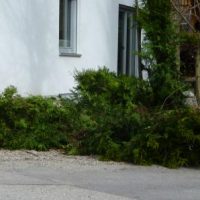 Zu viel Wind: Berger Windkraftanlagen stehen auf der Kippe