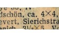 Perser, bildschön, günstig abzugeben