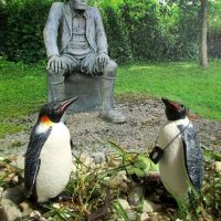 Sommer in Aufkirchen - Projektwoche der OMG-Grundschule Sommer in Aufkirchen - Projektwoche der OMG-Grundschule