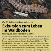 Es kreucht und fleucht - Exkursion zum Leben im Waldboden