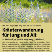 Kräuterwanderung am 12. Mai