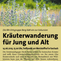 Der BUND Naturschutz lädt zur Kräuterwanderung