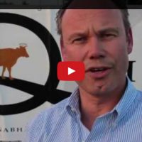 Noch zwei Wochen bis zur Wahl