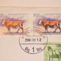 Die wellen schwappen hoch!