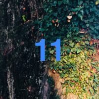 Der QUH-Adventskalender: das 11. Bäumchen