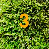 Der QUH-Adventskalender: Das 3. Bäumchen