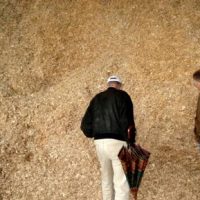 Nachhilfe für die SPD