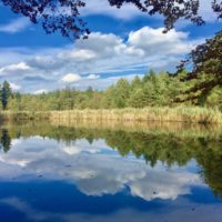 Der Schwarzweiher von Allmannshausen