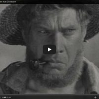 Wellenfahrt Wellenfahrt