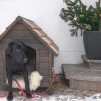 Der QUH-Adventskalender 2010 - das 5. Türchen