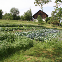 Die Bio-Kiste aus Biberkor