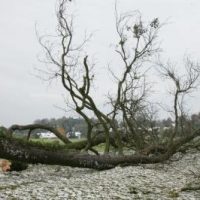 David gegen Goliath David gegen Goliath