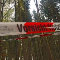 Holzaktion Holzaktion