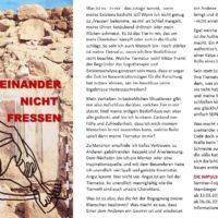 Neue Termine bei Susanne Plaschka