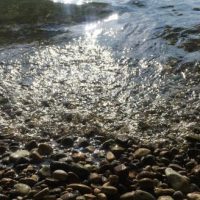 Neues aus dem Gemeinderat: die 10. Sitzung - 2. Teil