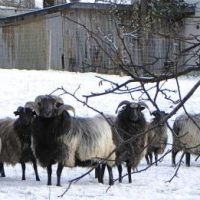 Der QUH-Adventskalender 2010 - das 16. Türchen