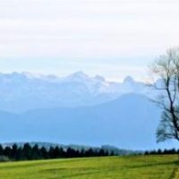 Berg 21 - Neues aus dem Gemeinderat