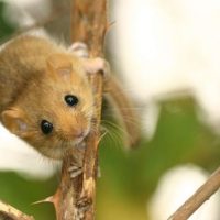 Die Arbeit ist erledigt Die Arbeit ist erledigt