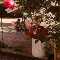 Nur bei schönem Wetter: Haus- und Hofflohmarkt in Berg Nur bei schönem Wetter: Haus- und Hofflohmarkt in Berg