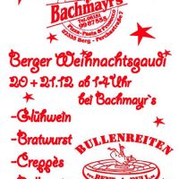 Qühe erfreut: Bullen sind in der Stadt! Qühe erfreut: Bullen sind in der Stadt!